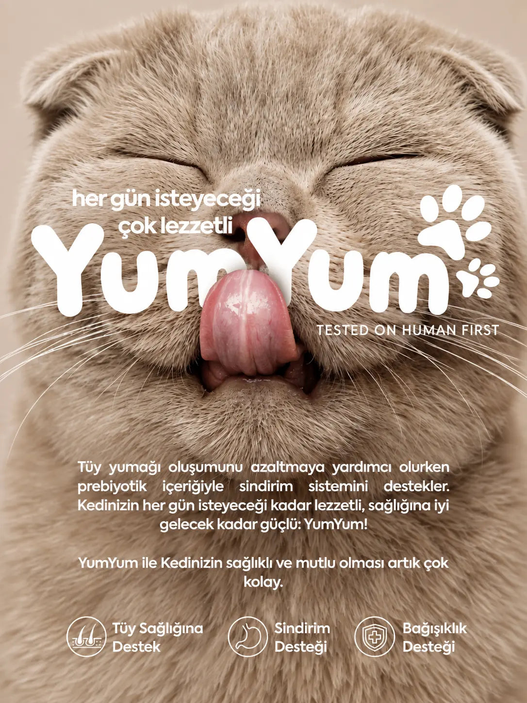 YumYum Prebiyotik Ve Kusma Önleyici Kedi Maltı
