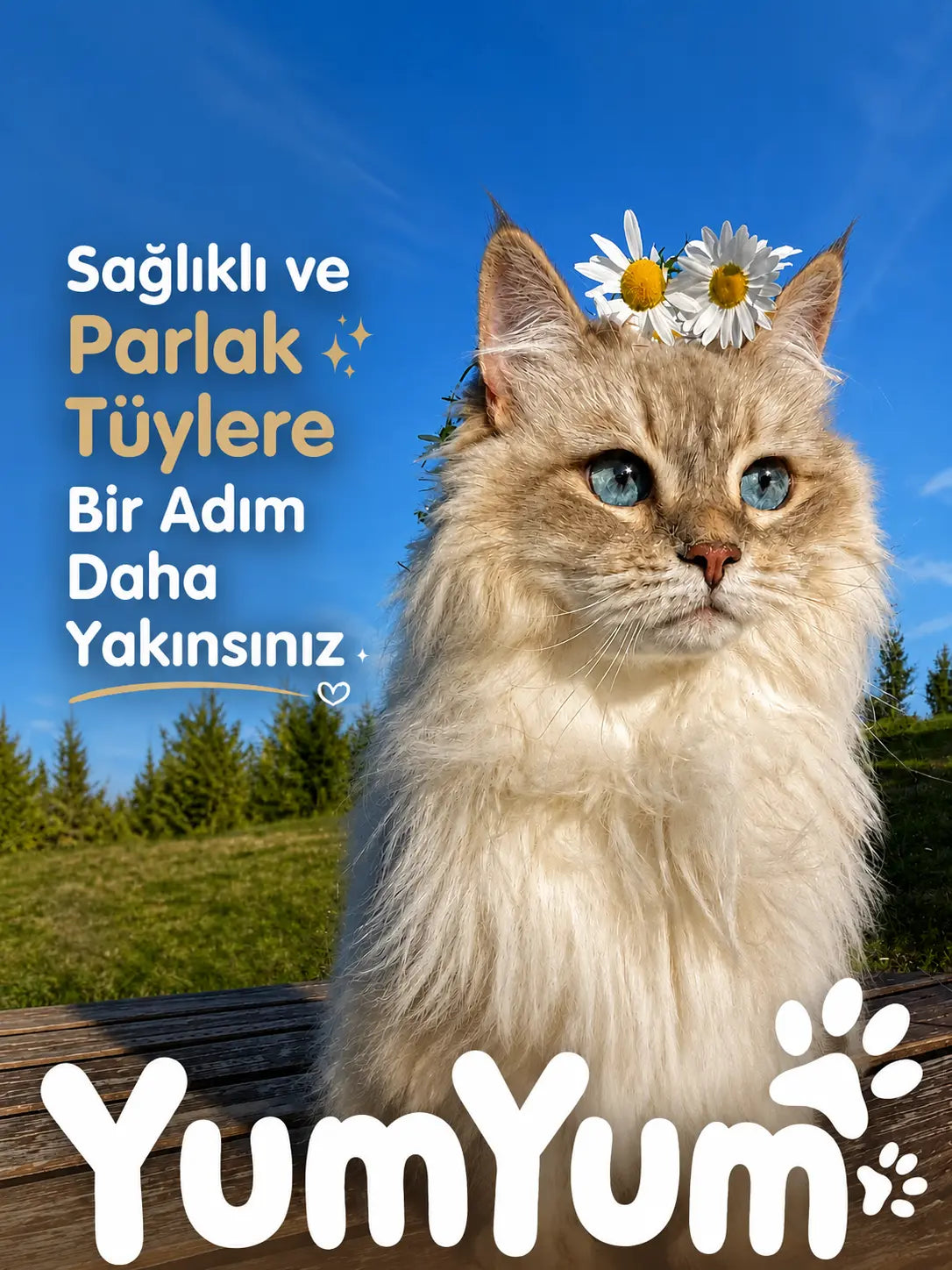 YumYum Prebiyotik Ve Kusma Önleyici Kedi Maltı